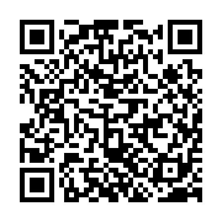 QR code for GCA311