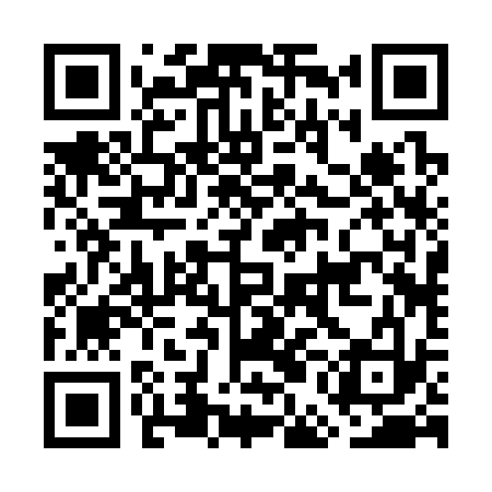 QR code for GEB333