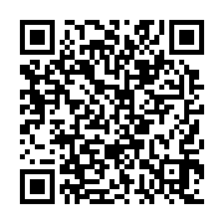 QR code for GGP313