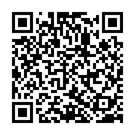 QR code for GHS339