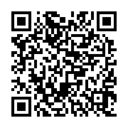 QR code for GIF317