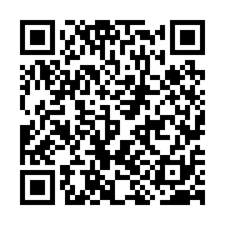QR code for GIN211