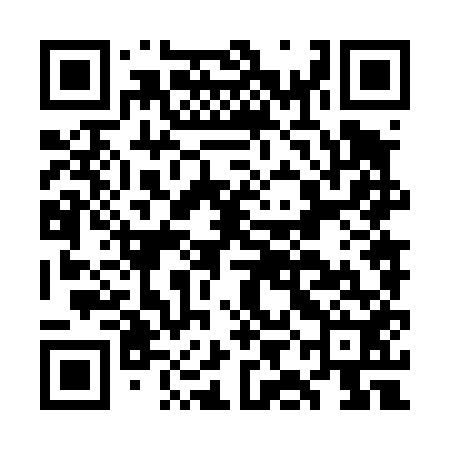 QR code for GIN452
