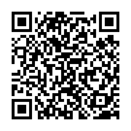 QR code for GOE618