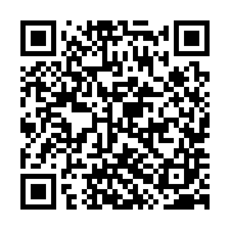 QR code for GPN383