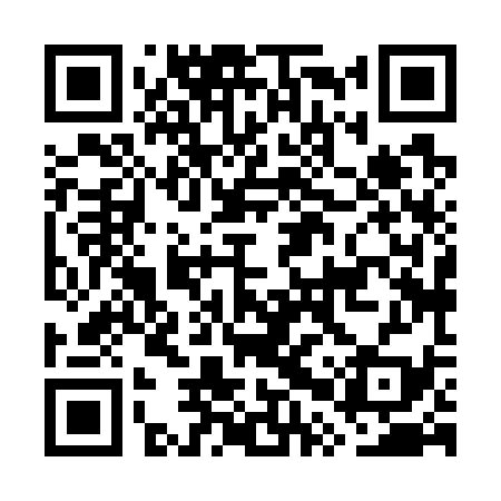 QR code for GPX739