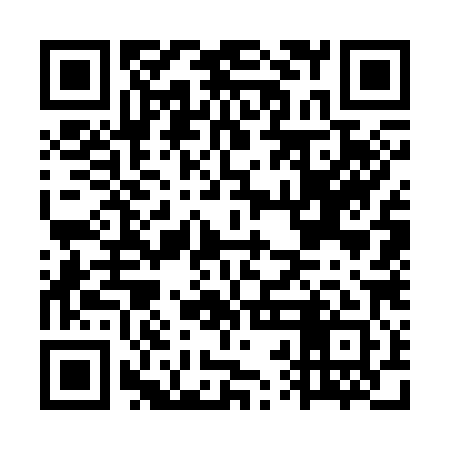 QR code for GRG381