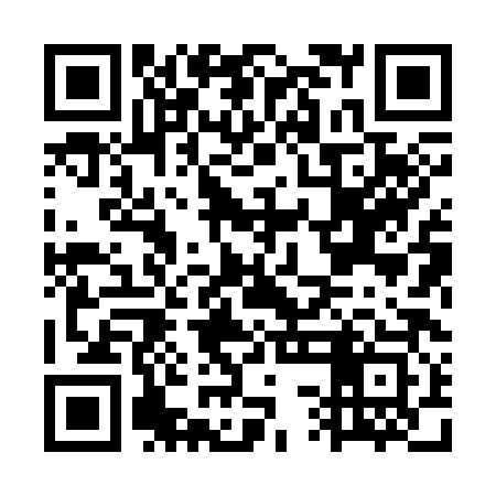 QR code for GSH383