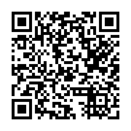 QR code for GSI383