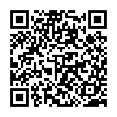 QR code for GUE241