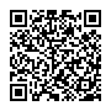 QR code for GYX411