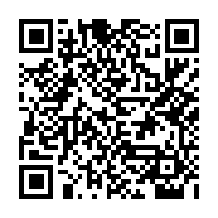 QR code for HCG461