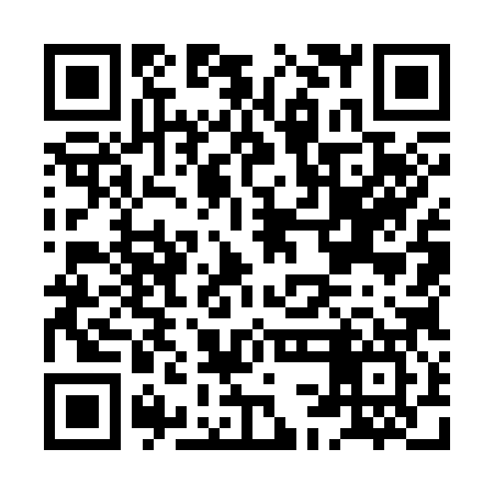 QR code for HCO387