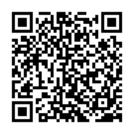 QR code for HDG317