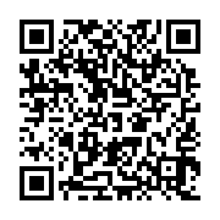 QR code for HHN313
