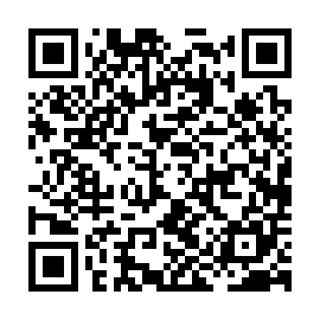 QR code for HIP305