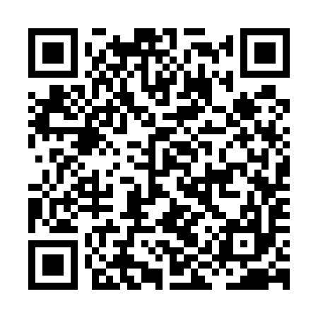 QR code for HIS597