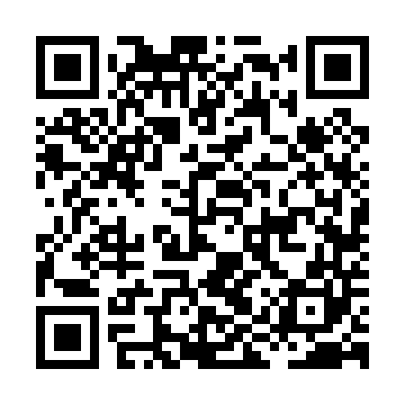 QR code for HIV040