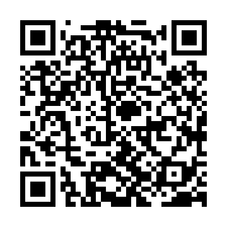 QR code for HJX239