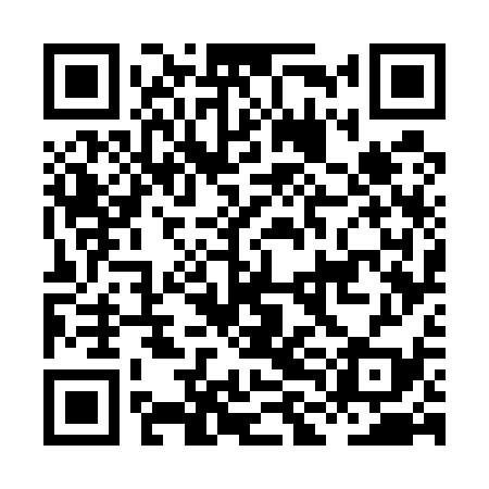 QR code for HLG539