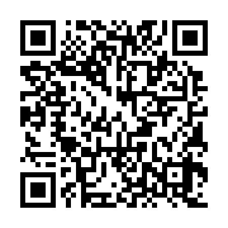 QR code for HLU338