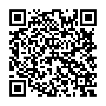 QR code for HMG828