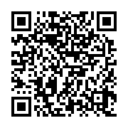 QR code for HMN338