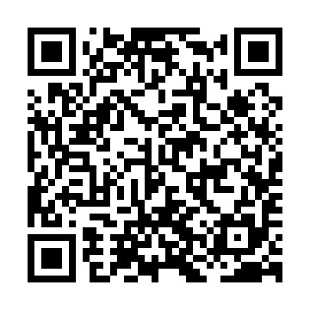 QR code for HNS195