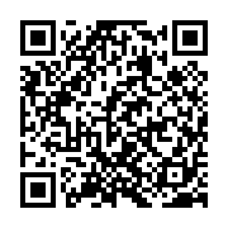 QR code for HNY010