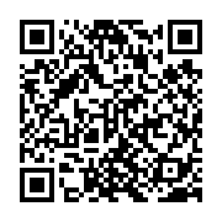 QR code for HNY639