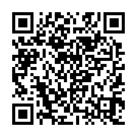 QR code for HOK311
