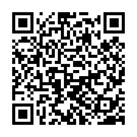 QR code for HPN439