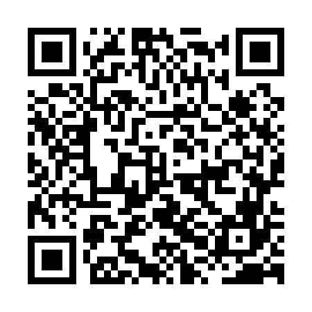 QR code for HPO166