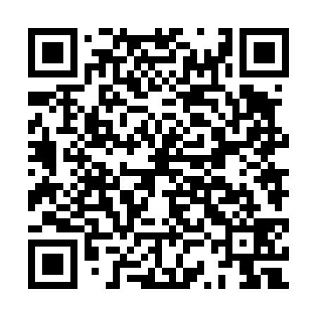 QR code for HSN439