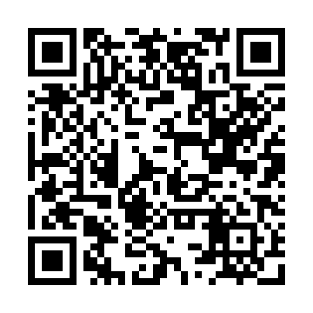 QR code for HSR381