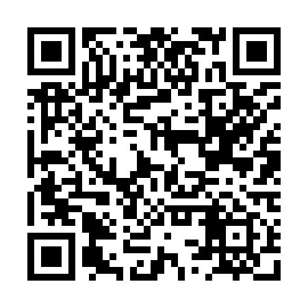 QR code for HSV919