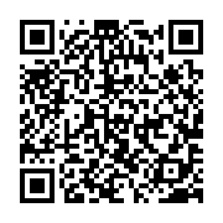 QR code for HUL398