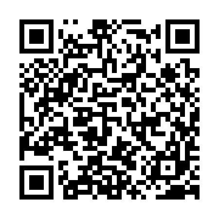 QR code for HUY397