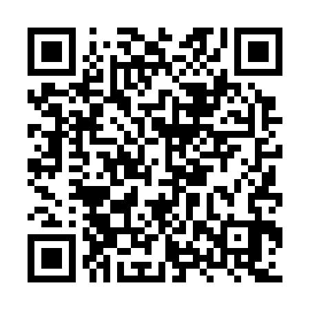 QR code for HXT333