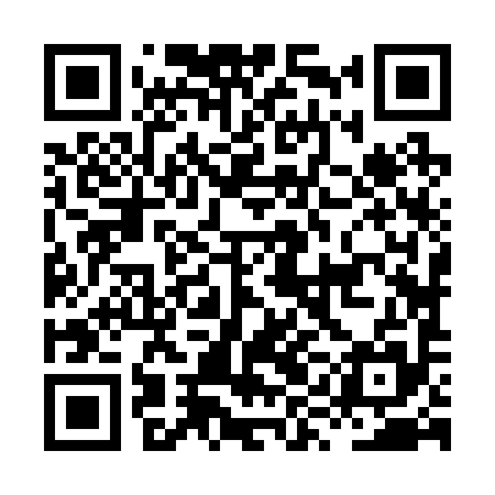 QR code for HYJ295