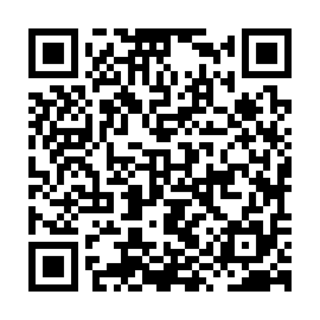 QR code for HYZ315