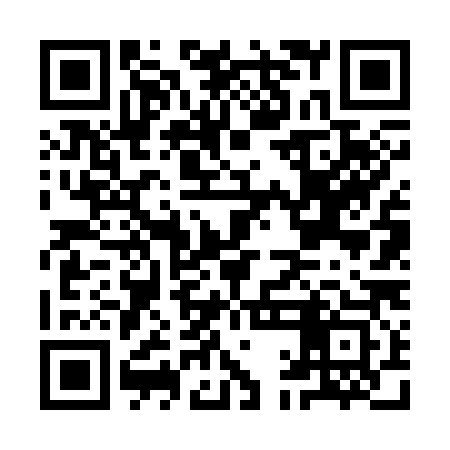 QR code for IAF383