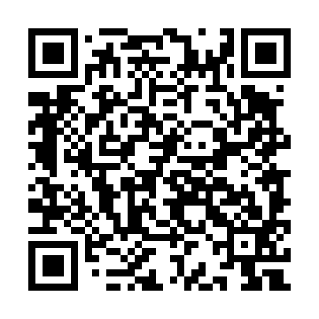 QR code for IBD493