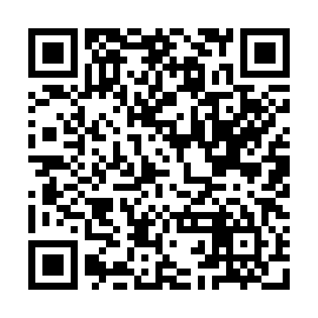 QR code for IBI385