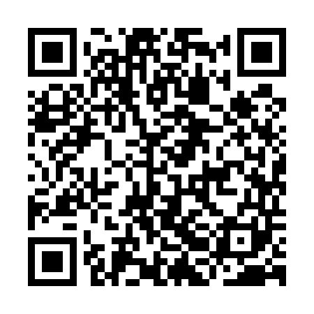 QR code for IBI541