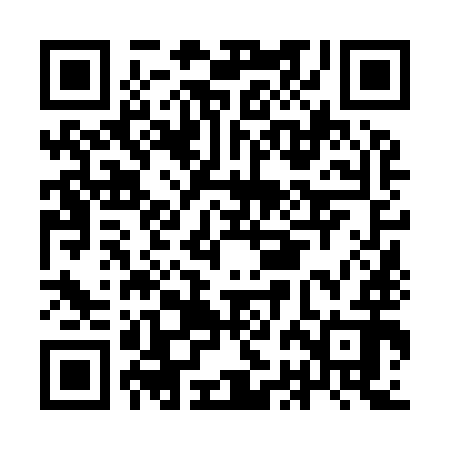 QR code for IBN992