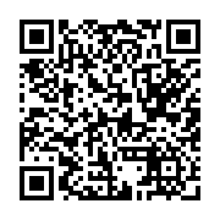 QR code for IDE917
