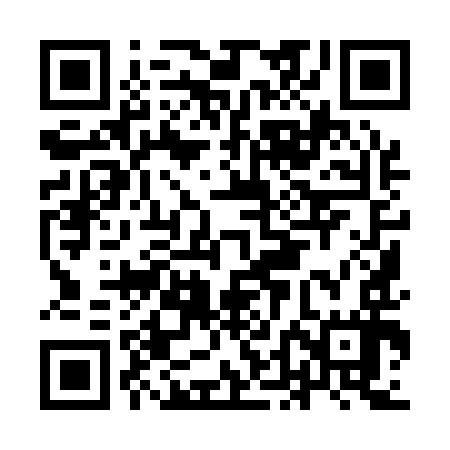 QR code for IDI197