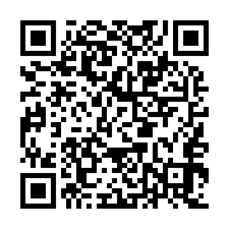 QR code for IDT953