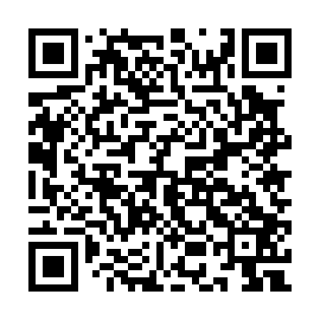 QR code for IEE003